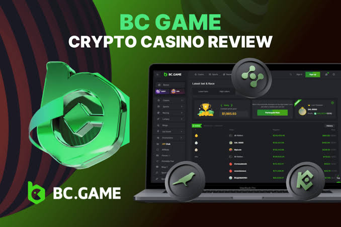 Experience Thrills with BC.Game Plinko App